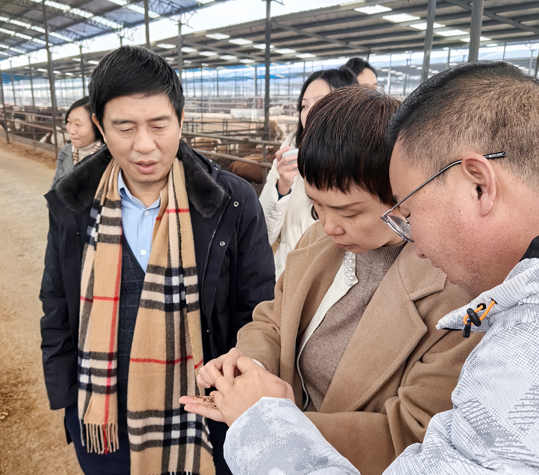 &#29233;&#20307;&#32946;&#23448;&#32593;